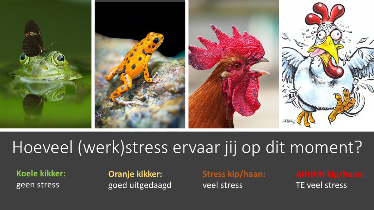 CvOene's tweet photo. Hoeveel (werk)stress ervaar jij op dit moment?
#stress #weekvandewerkstress https://t.co/VbJDlfbwvB