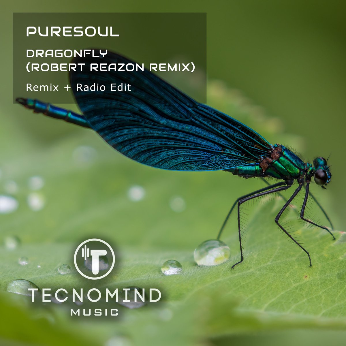 RobertReazon's tweet photo. You can find out more about the release on the official website https://t.co/npcg8syF6x

Release Date: 26.11. 2021
Buy our Releases: https://t.co/vOsOgAu8Gj

#trance #progressive  #puretrance #vocaltrance https://t.co/MhYeedJKDA