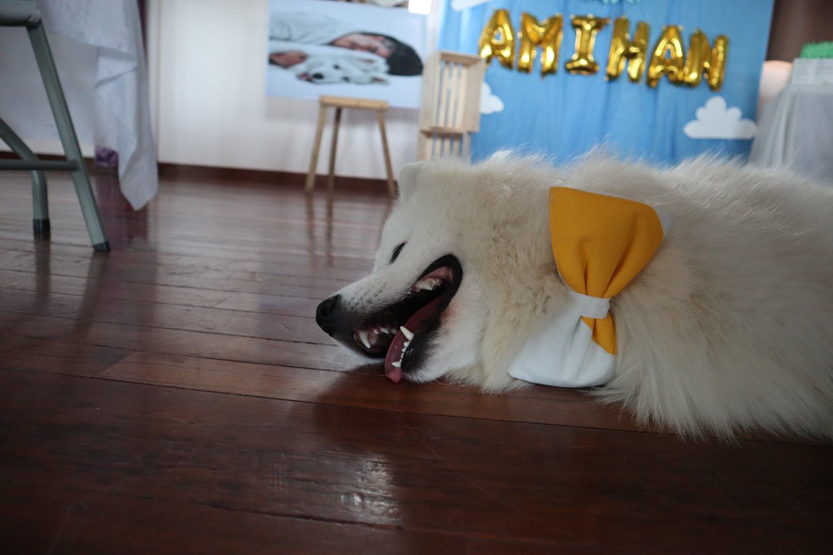 Ami the Sammy tweet media