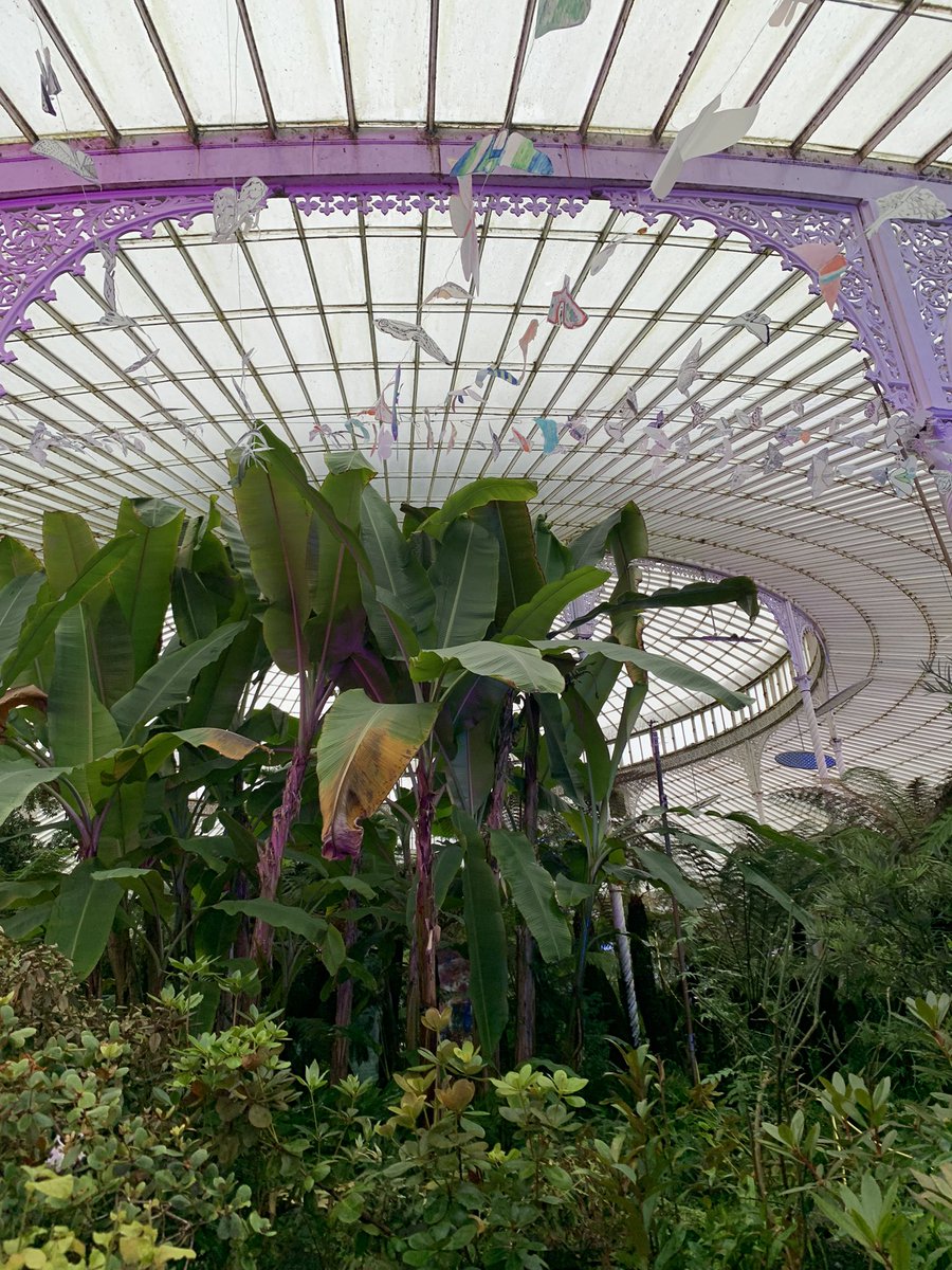 CraftingCOP26's tweet photo. Saw the #mothstoaflame exhibit by @OurArtAndEnergy at Glasgow Botanic Garden. Beautiful recycled art accompanied by heartfelt audio messages about the future of our planet 🪴🦋 https://t.co/WLuQyyvIjd