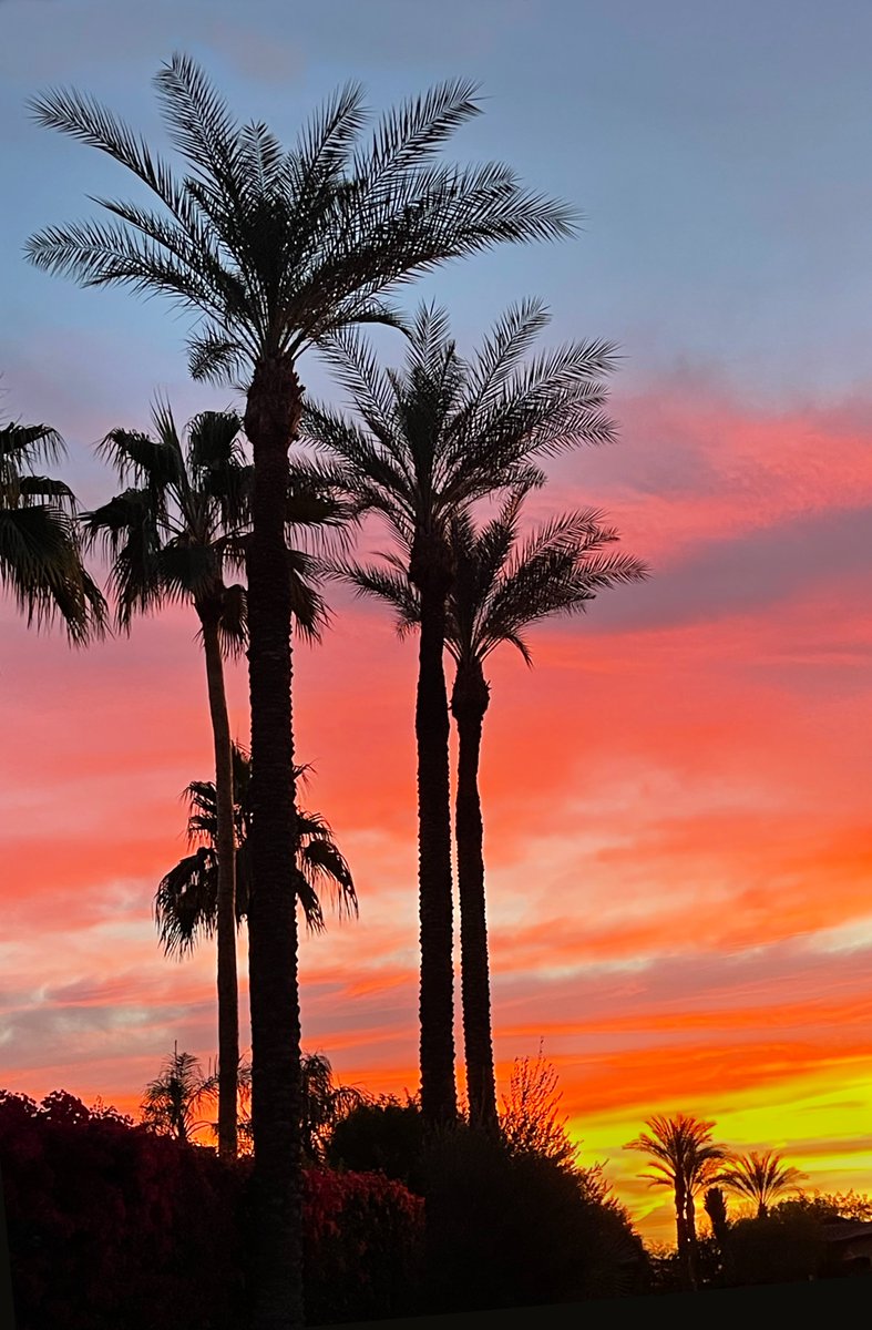 jrn_joyce's tweet photo. Good morning from the Coachella Valley in California. https://t.co/O9ddXpB0P0