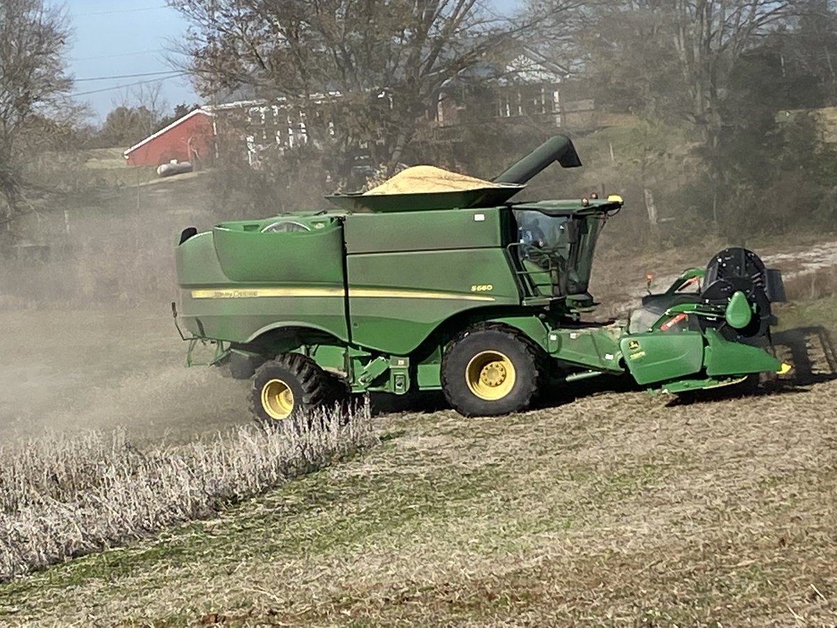 Back to work flinthill ky