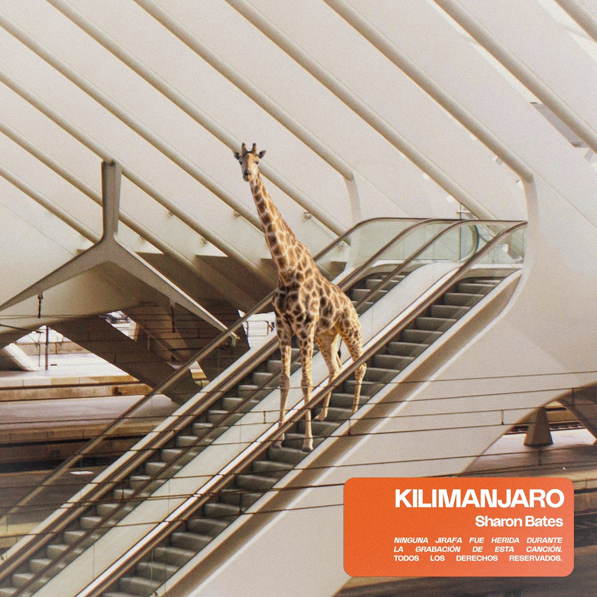 🔥🔝EXTRA EXTRA🔝🔥
Mañana @HETradio3 hace el preestreno en exclusiva de nuestro ⚡️🏔KILIMANJARO🏔⚡️

📻 Atentos a la frecuencia modulada 😘 
<a href="/radio3_rne/">Radio 3</a> <a href="/cuestiondmedios/">Cuestión de Medios</a> @entre_botones <a href="/carmouna/">Ángel Carmona</a> <a href="/GusIglesiasR3/">Gustavo Iglesias</a>