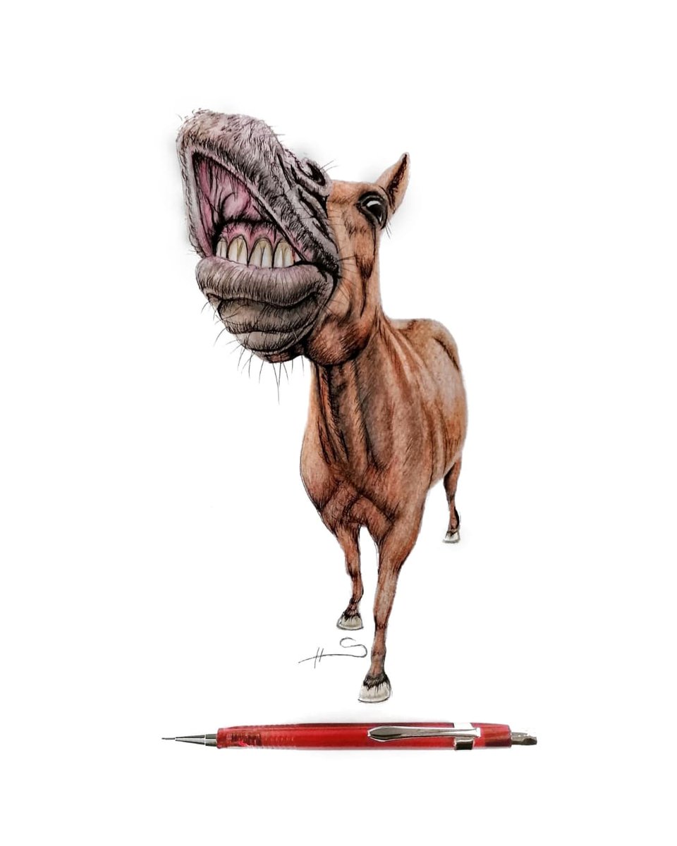 😏 
#berlin #artist #art #pencilart #portraitart #pencilsketch #pencildrawing #animals #horse #funny #cute #pferdeliebe #sketch #sketchbook #sketches #sketchart #drawingsketch #pencil #painting #painter #kunst #pferd #Smile #painter #wildlife