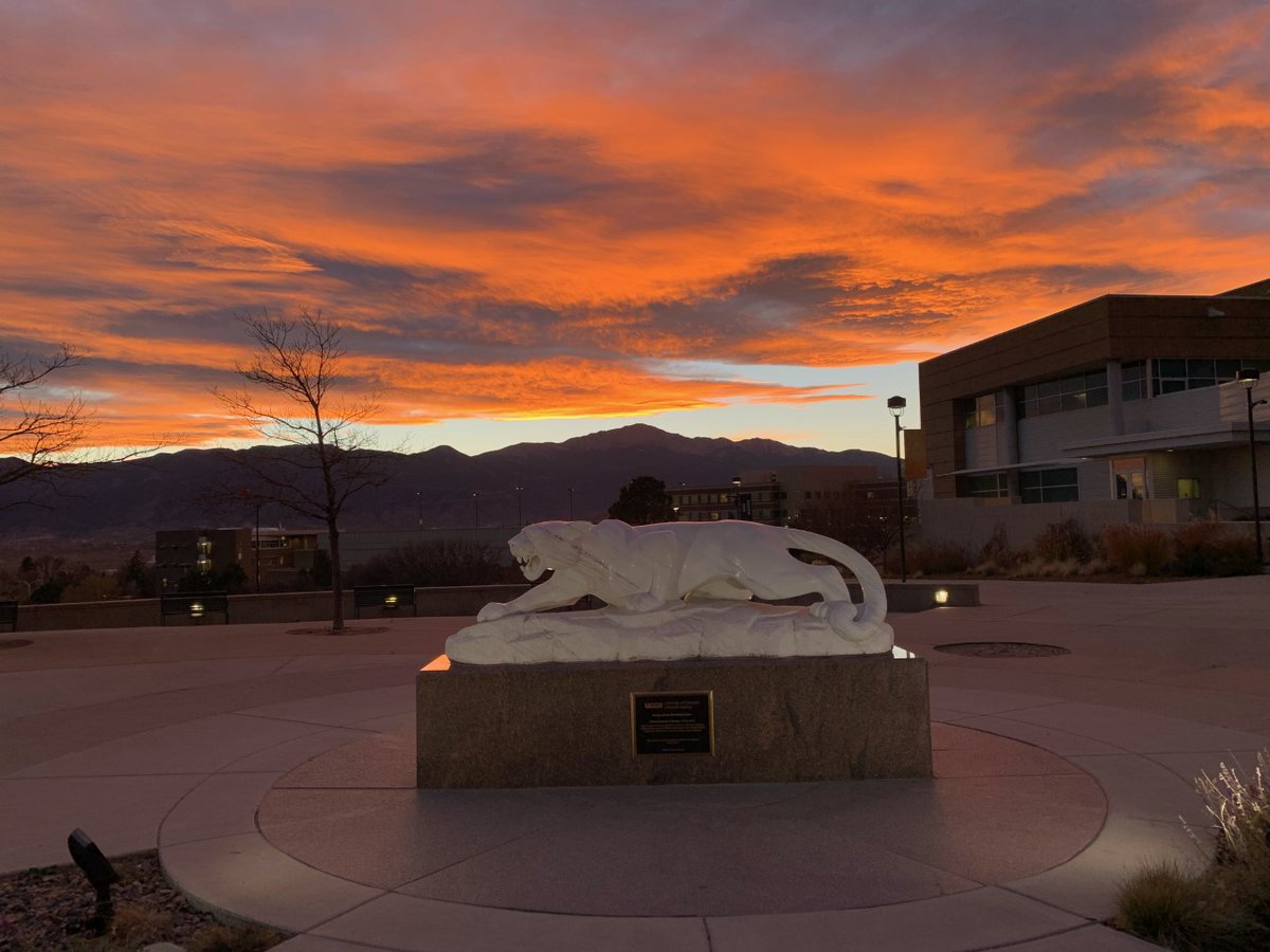 UCCS Social Work tweet media