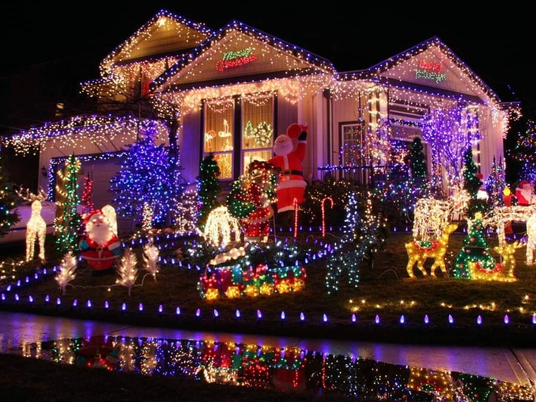 Natale si avvicina pensiamo alle decorazioni 💖🌹🎈🎀⛄🎏🎐🖼️
Pinser.altervista.org