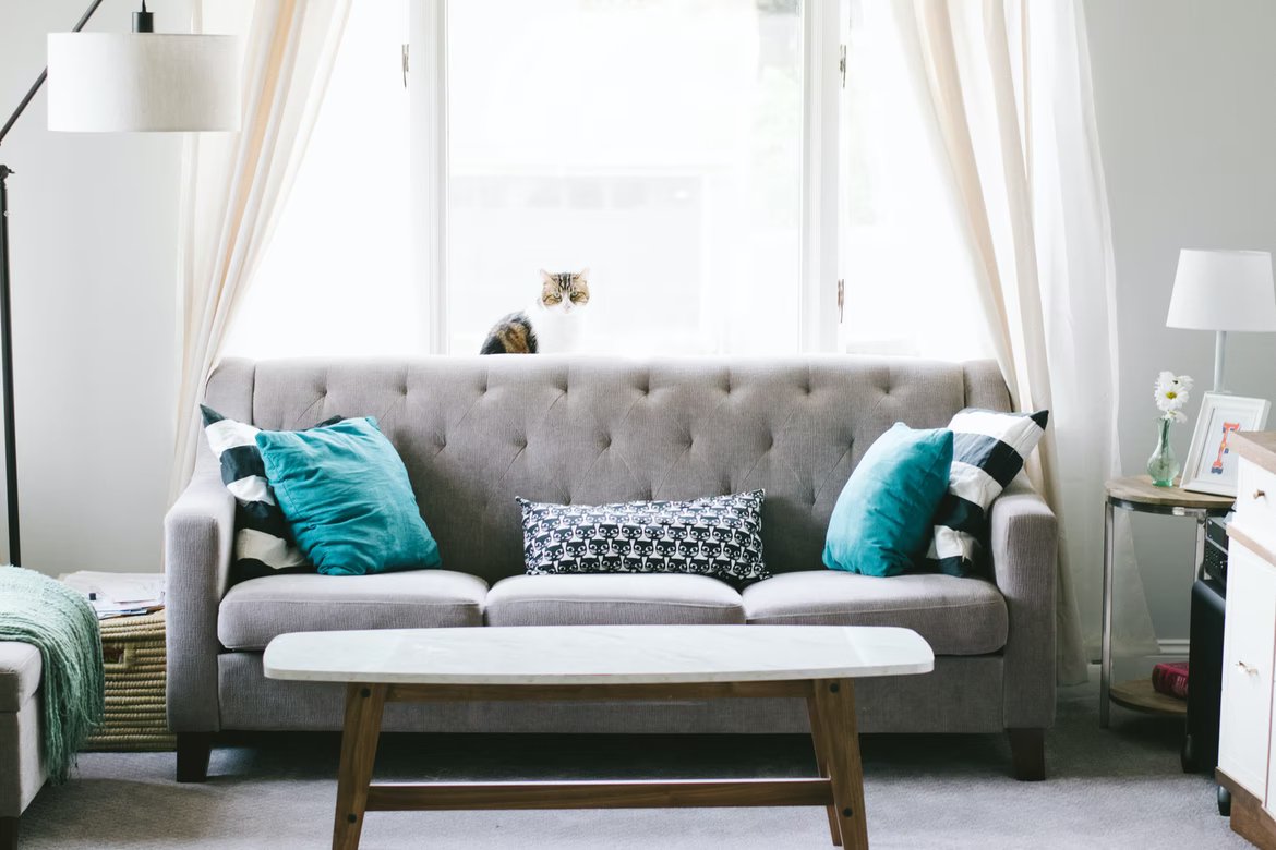 interiorsofcolo's tweet photo. ⭐⭐⭐⭐⭐ 
"I wanted to share what a nice experience I had...Very pleased with their workmen who went out of their way to assist me moving some heavy furniture. Did an incredible job with the carpet..." –Billy
We're thrilled to hear about your positive experience, Billy! https://t.co/bKrwy2Fnoq