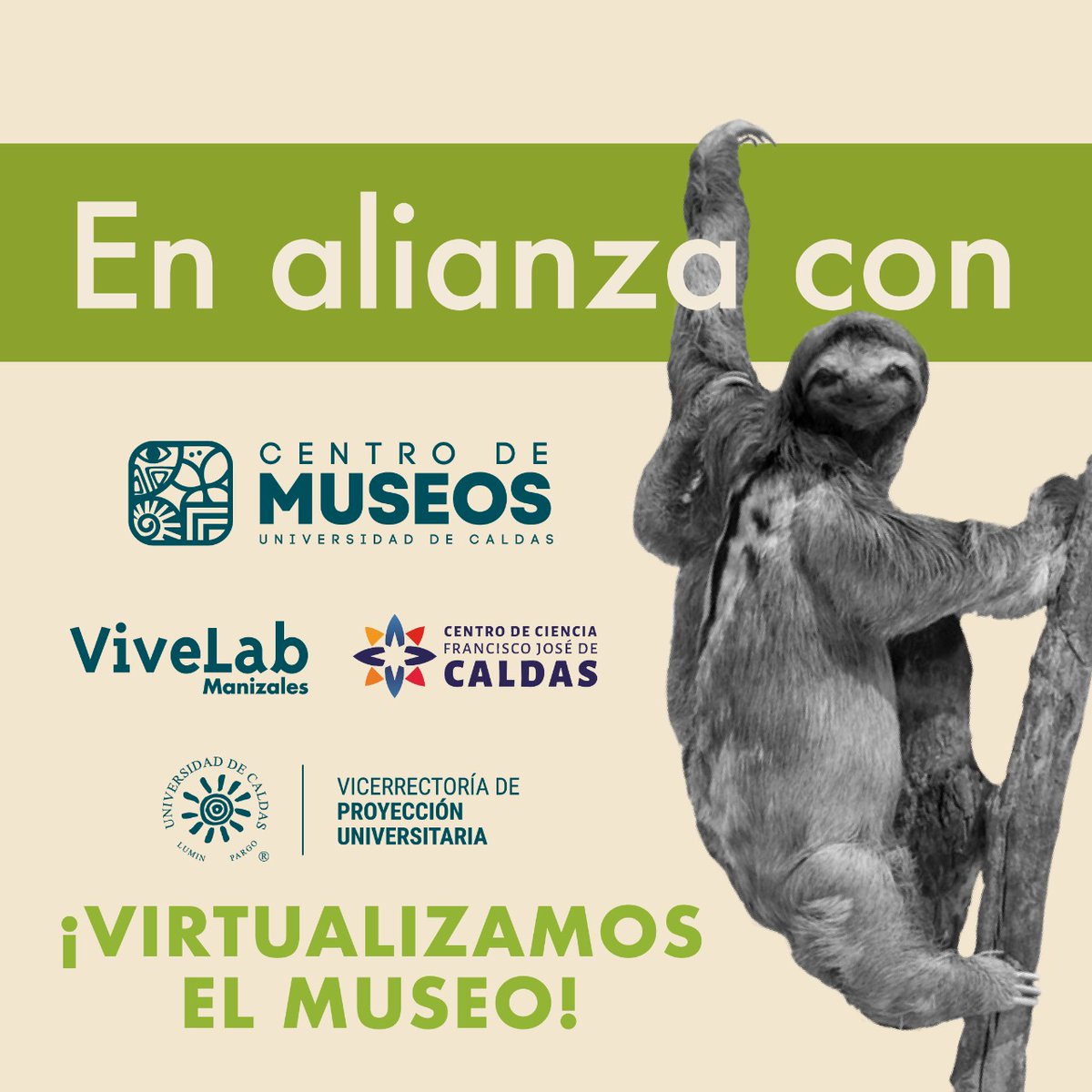 Centro de Museos tweet media