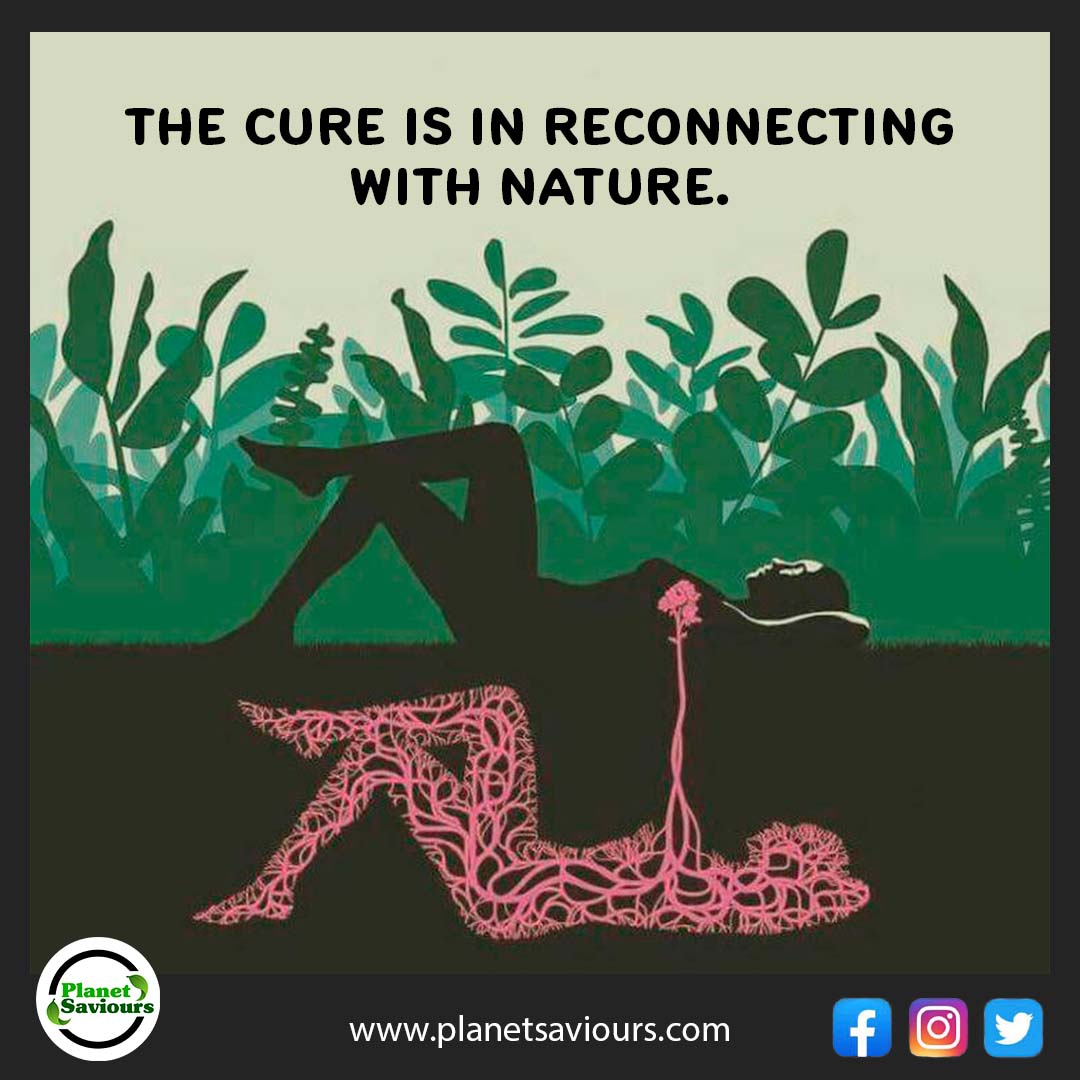 The cure is in reconnecting with nature.

Source: 📸 by Planet Saviours

#planetsaviours #nature #mentalhealth #environment #cure #reconnecting