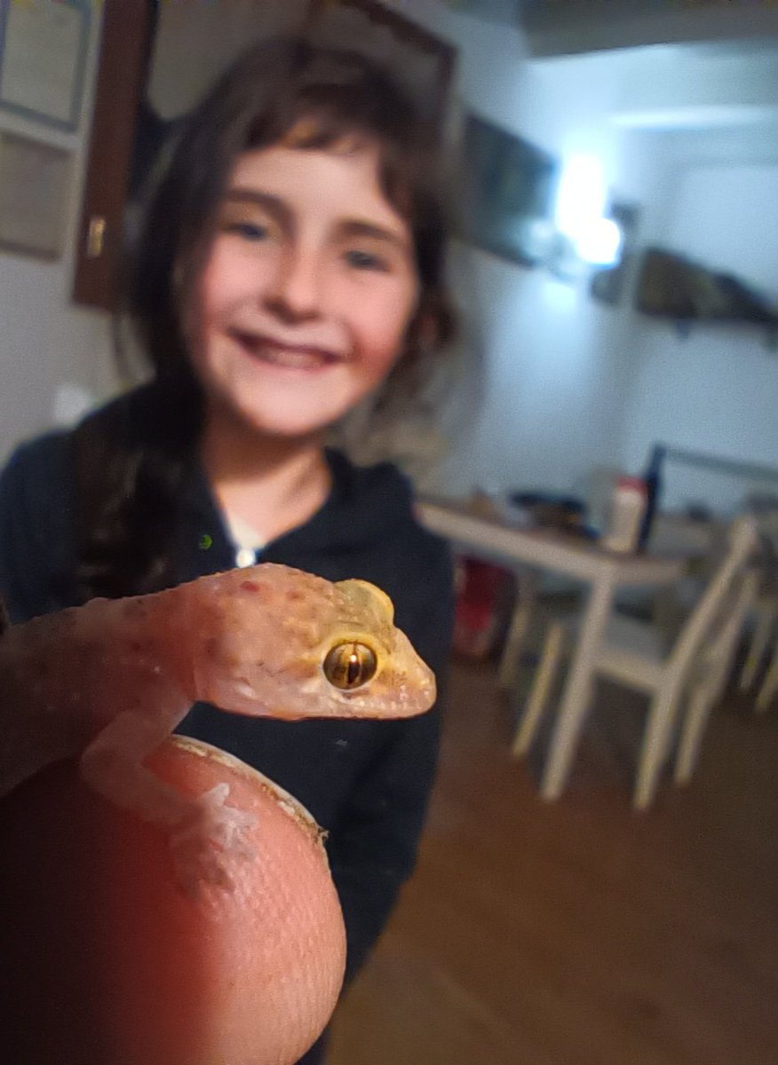 Sono dolcissimi, utili e sono anime buone. non fategli mai del male.