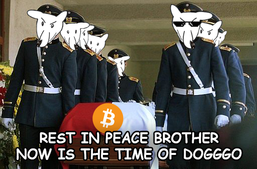 TWS_SQUAD's tweet photo. @DogggoToken Step by step. Directly to the moon #dogggotoken #dogggo https://t.co/GDtF2mxdx5