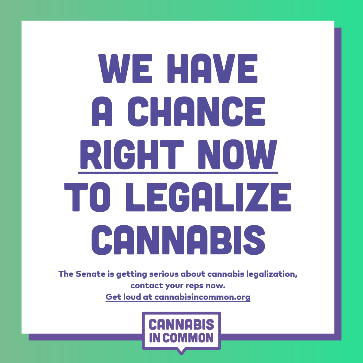 cann_company's tweet photo. Don’t sleep on our best chance to legalize cannabis! For the first time ever, the Senate is getting serious about federal legalization. We need to get loud NOW. Contact your reps today at https://t.co/5iZXmyUQMA. Our friends at @Cannabis_Voter make it easy! https://t.co/15EARqMgwc