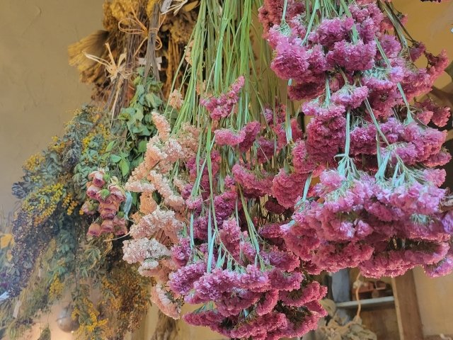 kenblo33's tweet photo. 11月17日の誕生花の１つ #スターチス
花言葉は永遠に変わらない、変わらぬ心など🌼
色別の花言葉もあり
ピンク→永久不変
黄→誠実、愛の喜び
紫→上品、しとやか

花に見える部分は萼（がく）で実際の花は白く小さい。ドライフラワーとしても人気で、乾燥しても色褪せない事から変わらぬ心🍀 https://t.co/CmfciPPJIV