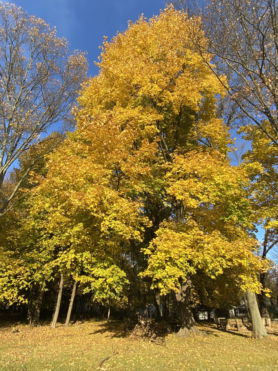 FCCStow's tweet photo. No matter how hard or challenging our days may be, we can always look around and see God’s beauty. Praying you all see God’s beauty in your day. https://t.co/l2tSEym10Q