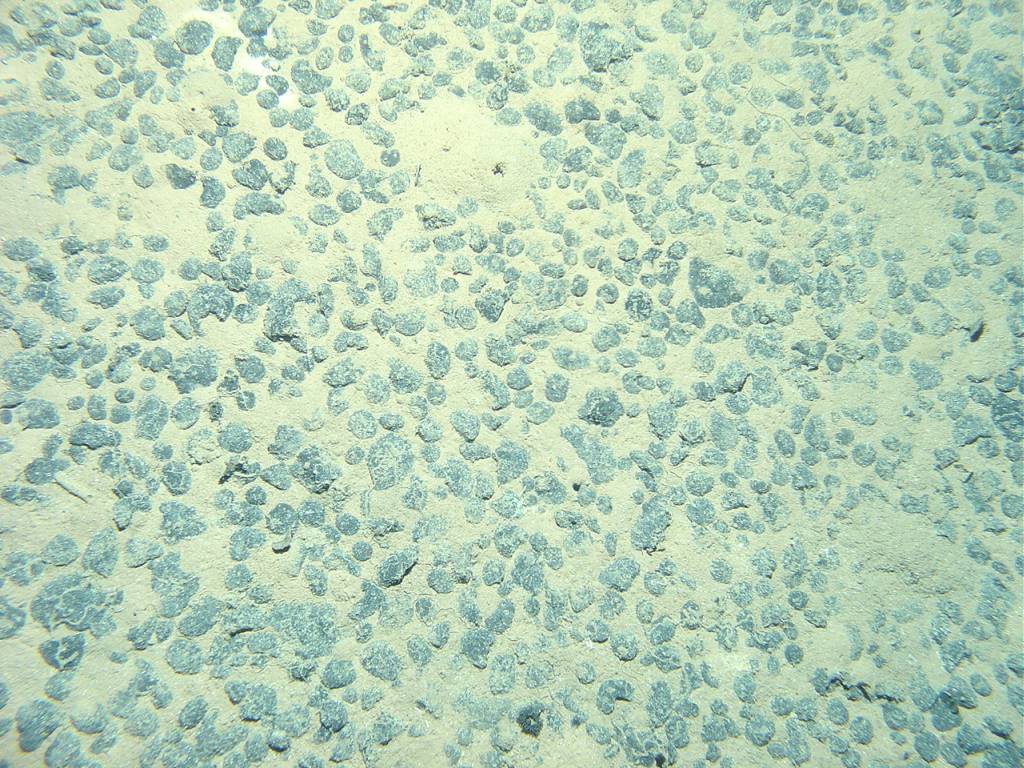 Three Advisory Councils have joined forces to produce a joint advice asking
<a href="/EU_MARE/">EU Maritime & Fish</a> for a #moratorium on #deepsea #mining in line with EU #biodiversity #sustainableblueeconomy strategies ahead of
<a href="/ISBAHQ/">International Seabed Authority</a> meetings for 2021 and 2022. ldac.eu/images/EN_Join…