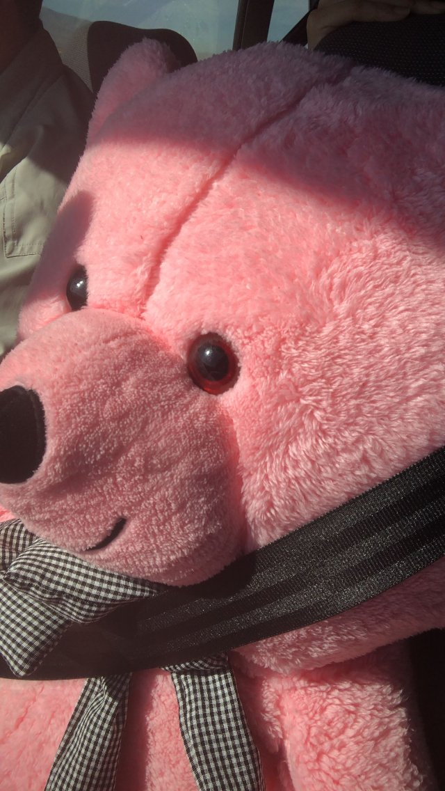 Kamu spotu: emniyet kemeri sizi hayata bağlar.