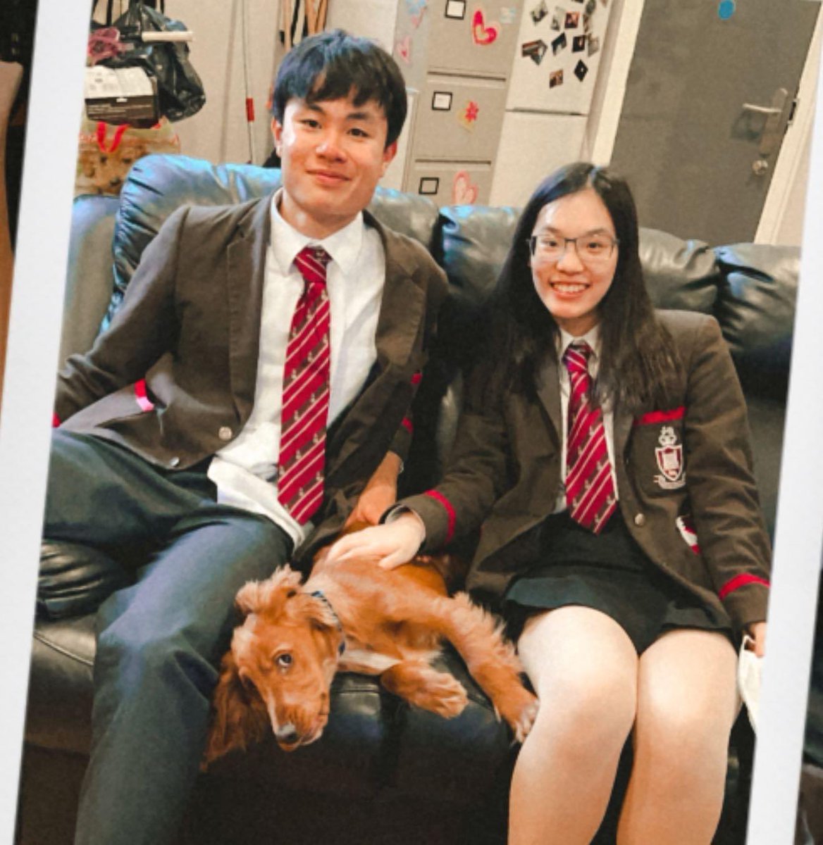 RsdBoarding's tweet photo. Our boarding buddy Basel loves a good snuggle from our boarders when they finish school! 

#spoiltboy #boardingdog #basel #iloveboarding #boardingschool #royalschooldungannon #northernireland #rsd https://t.co/NIFtnFyDwf