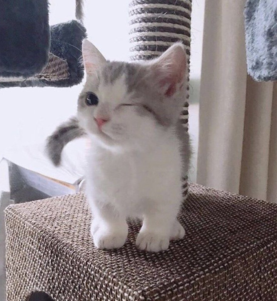 Denny’s Regulars tweet media