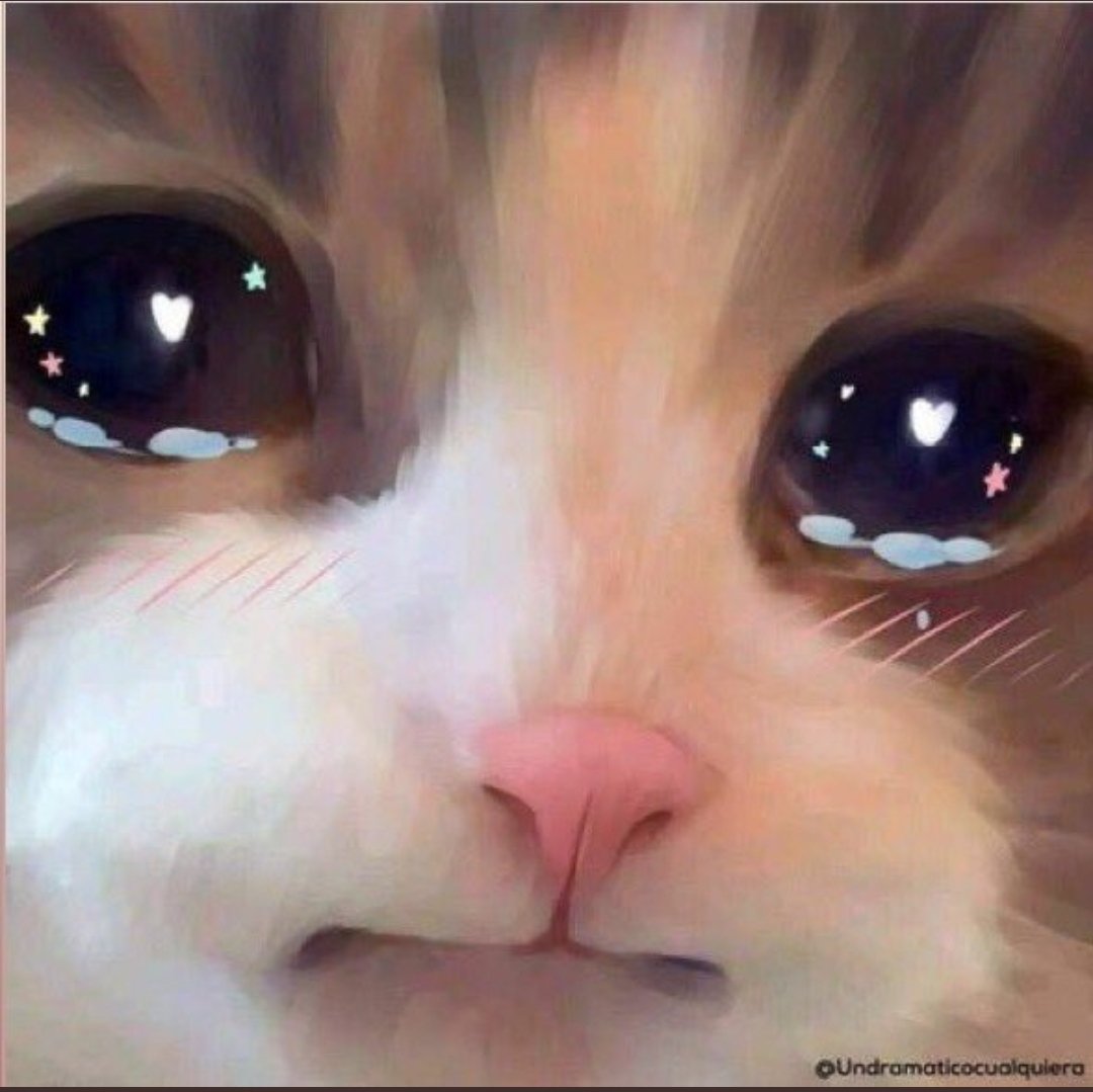 Quizas_TT's tweet photo. @yakuza051 دقیقا https://t.co/b06gUv4sO8