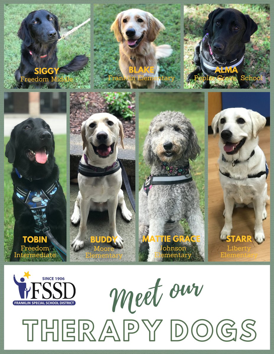 Dogs on duty! Today I met two of the therapy dogs working in <a href="/franklinspecial/">Franklin Special District</a> school district. They're making such a pawsitive difference! <a href="/NC5/">NewsChannel 5</a> 🐾