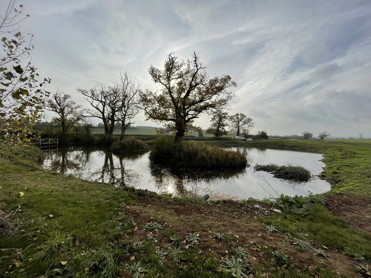 glosanglingclub's tweet photo. Thanks to @FishFarmEA and Laura and Sam our Environment Agency Fisheries officers for organising and supplying some more Crucians and Tench for Taskers our development pond. #cruciancarp #tench #taskers #eacalverton #fisherydevelopment https://t.co/FYQciKj50C