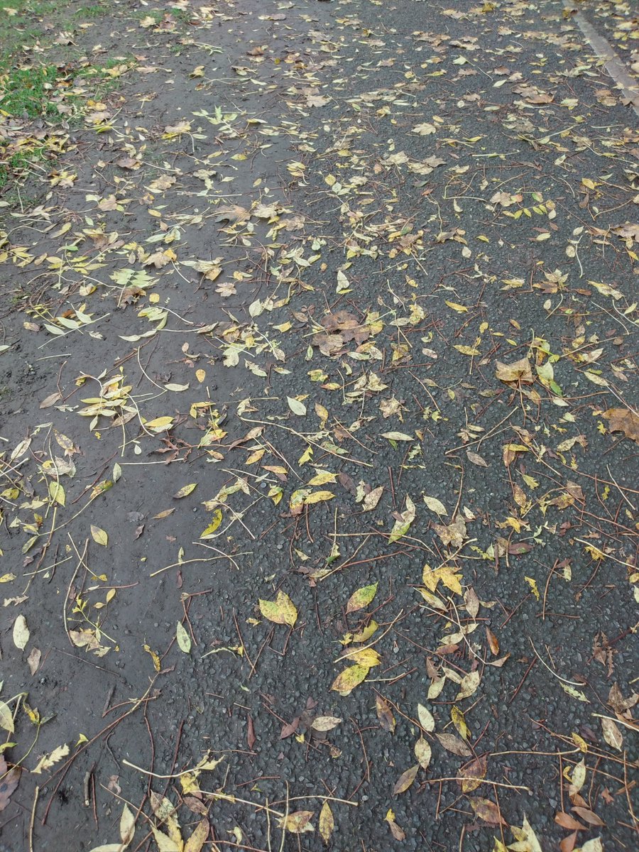 ElizabethMerry1's tweet photo. "Patterns on the path
luminous lime, yellow, pale,
softens morning walk."
CHECK out MINUS ONE, a #poetry collection available on #Amazon in #paperback and #kindlebook. 
CLICK to buy:
https://t.co/CS9hOCGbOH
#haikus #poetrylovers #poetrycommunity #indieauthor #dublin6 #dodderriver https://t.co/h7QCvFPBII