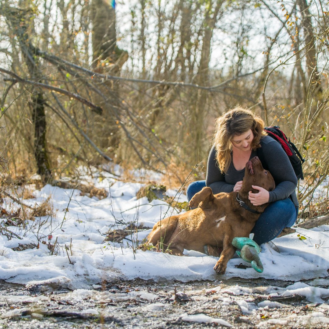 photo_kidd's tweet photo. “I feel most connected with Juno when we hike and camp together. Juno and I do at least one week long camping trip together a year, and we hike throughout the year.” Pam &amp; Juno 🐶📷
#pawsome #dogsarefamily #authorsofinstagram #photoshoot #photography #photographer #dogs https://t.co/iuErUMmppF