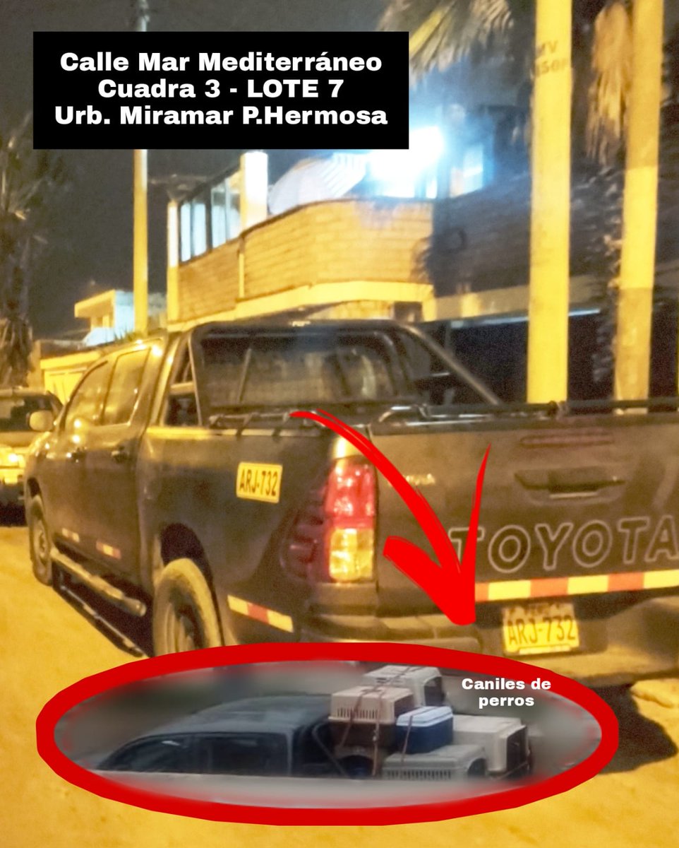 perufashionblog's tweet image. 📢 SOS

En casa en Punta Hermosa hay perros amontonados, llorando, en caniles pequeños mojados. En madrugada (5am) llegan y salen + canes adultos de raza, ingresan pasando caseta de serenazgo. Es muy triste por favor RT 

@vai3333 @vanessasaba75 @PoliciaPeru @coco_maggio @SolCn