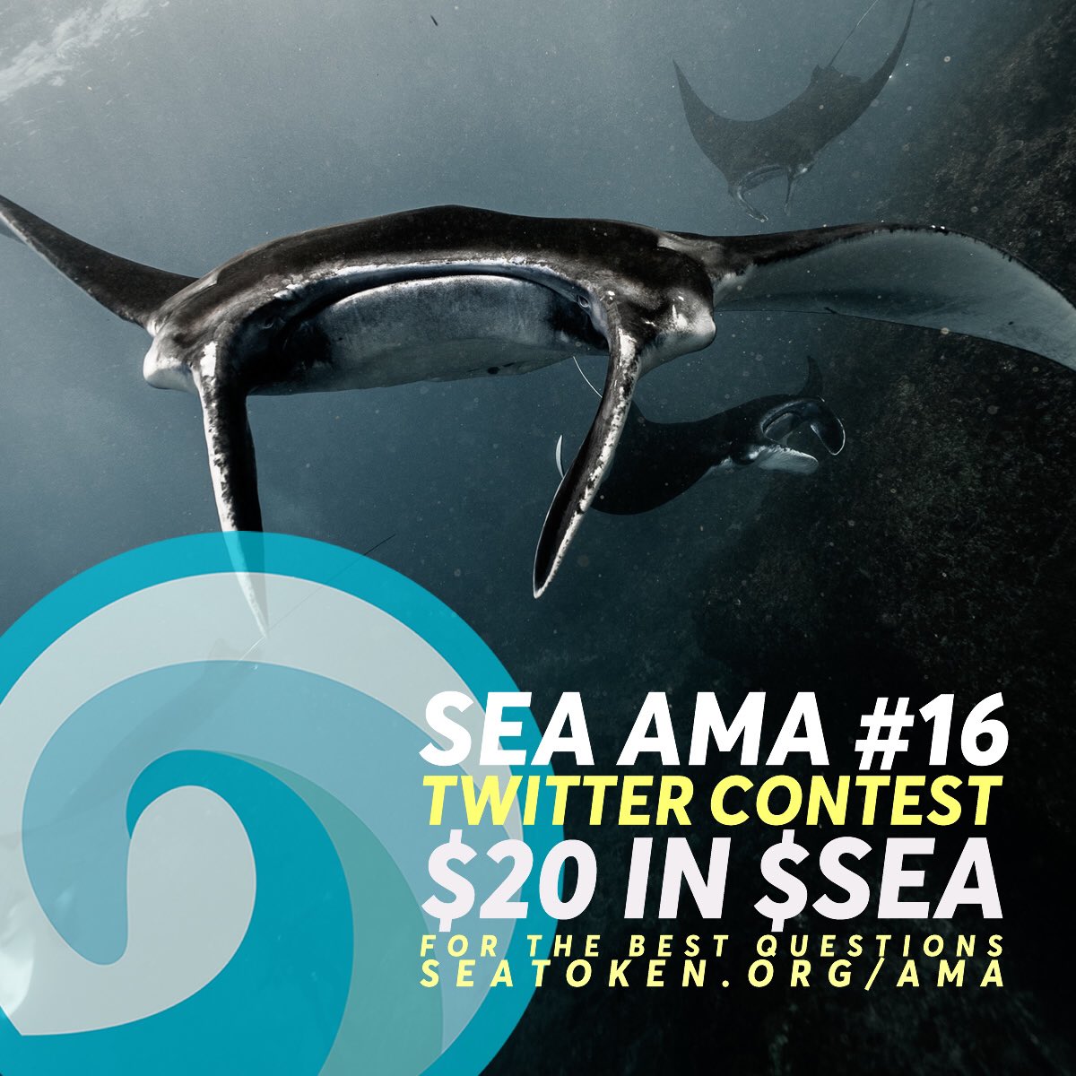 sea_token's tweet photo. Question contest now open, read the full Medium article about the AMA with Flossy Barraud and ask your questions to win $20 worth of $SEA. Top 5 questions win, good luck! https://t.co/BTBjbpEdyo https://t.co/IbEg4vdqQc
