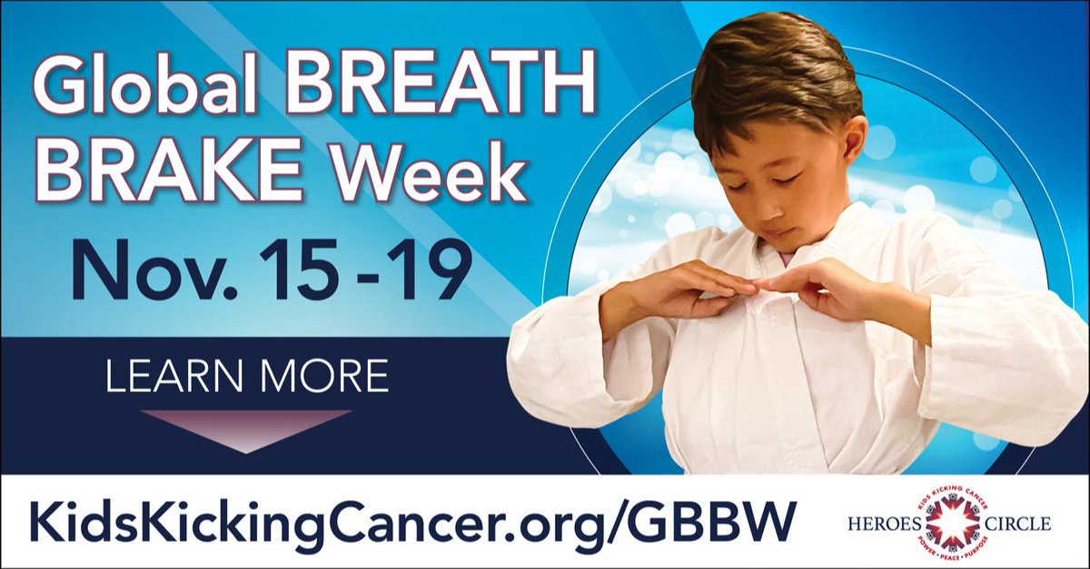 officialmatio's tweet photo. FMRI studies have proven that sick children and their otherwise healthy siblings see a natural reduction in stress when implementing The Breath Brake and Kids Kicking Cancer's unique martial arts intervention techniques. https://t.co/VlJFDzWwcD