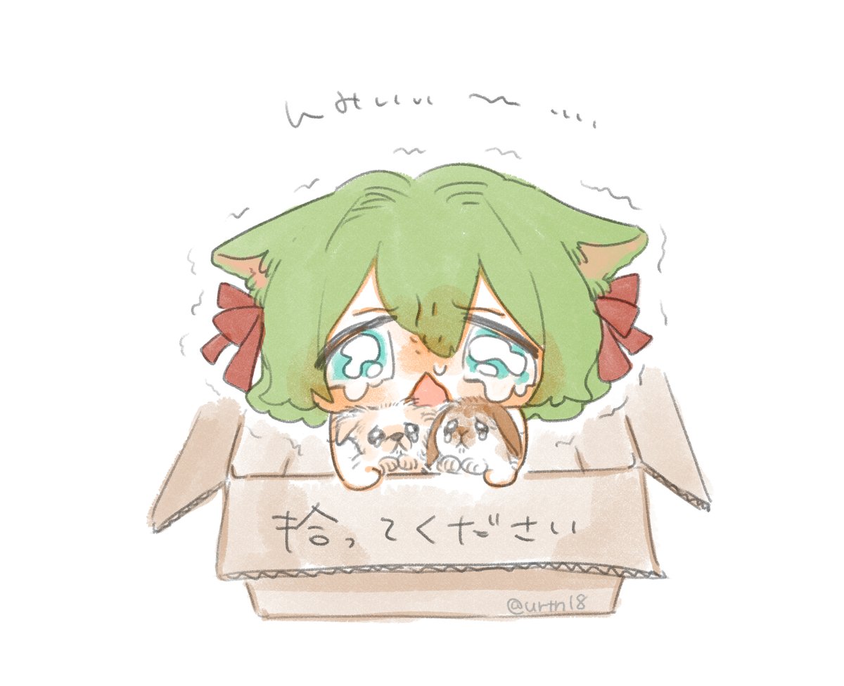 in box in container green hair box animal ears cardboard box tears  illustration images