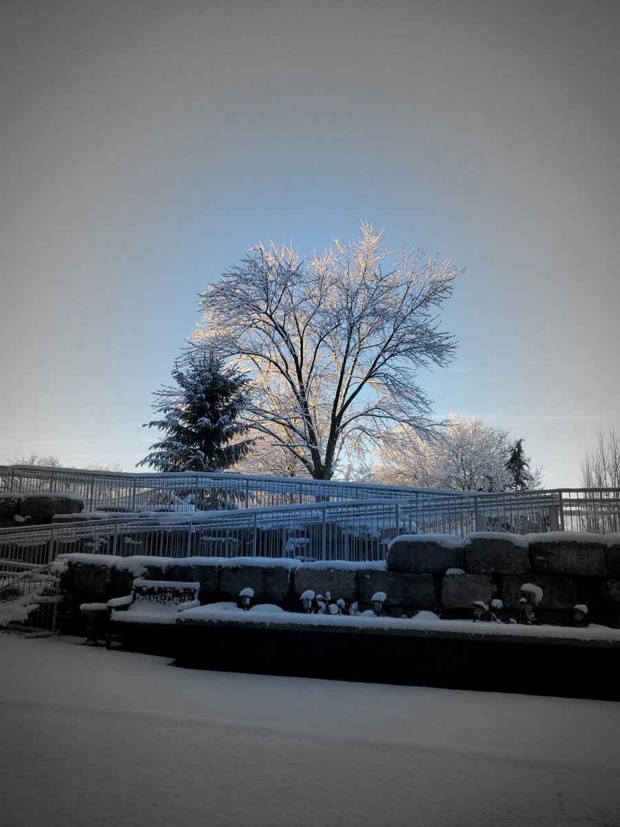 TCMHomes's tweet photo. A beautiful day outside our #NithviewHome in #NewHamburg. Happy to see the sun!
All the sidewalks are cleared for residents to go outside and enjoy visits on the grounds.
#notforprofitadvantage #LTC #NotForProfit #MakingEveryDayMatter #seniors @AdvantAgeOnt @ONlongtermcare https://t.co/nrobBgpHLP