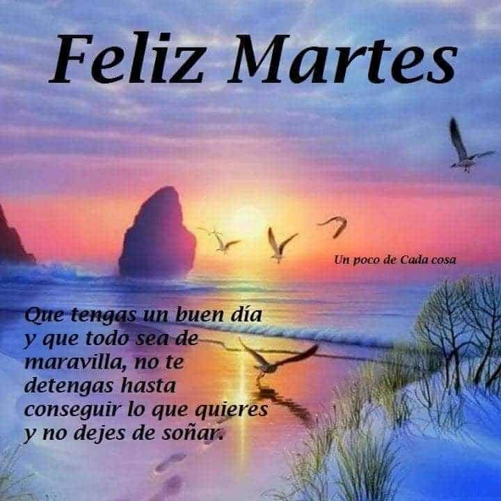 lopezmoffa's tweet photo. @josebermudogma1 MUCHISIMAS GRACIAS AMIGO! SE QUE ES AUTENTICA TU ALEGRIA!! CARIÑOS PARA TI Y PARA TOÑI!!! :) :D https://t.co/ODc575ZsHo