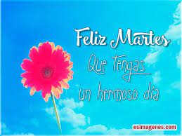 lopezmoffa's tweet photo. @RAPHAELartista BUENAS TARDES QUERIDO! :) :D https://t.co/Qo2m540VTR