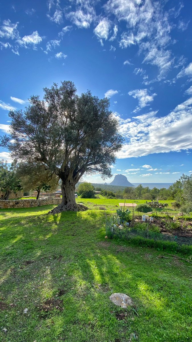 this just never gets old. see you here next summer? #ibiza2022 #ibiza #balearicoutdooradventures