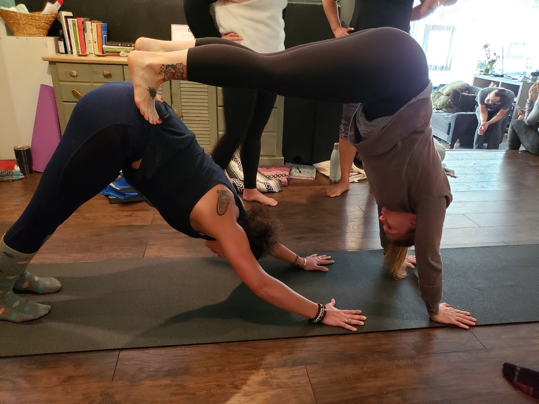K10Yoga's tweet photo. Super stoked to get back to in-person Yoga Teacher Training in January! I love this 'assist'. A fun way to bring laughter, courage, and fun into a class, a way to invite students to get to know one another and support (quite literally) each other. How do you double down dog?! https://t.co/44bcm1qW01