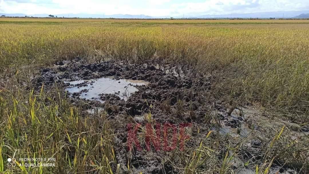 dalnimdar_elf's tweet photo. Junta Terrorists indiscriminately launched 3 heavy artillery at the farmland near PhayarPhyu village,Karenni #Demoso town last night.Junta has been sending reinforcements to Demoso by helicopters. #WhatsHappeningInMyanmar #Nov16Coup  #TortureToDeathByJunta https://t.co/uJNQAfgrHY