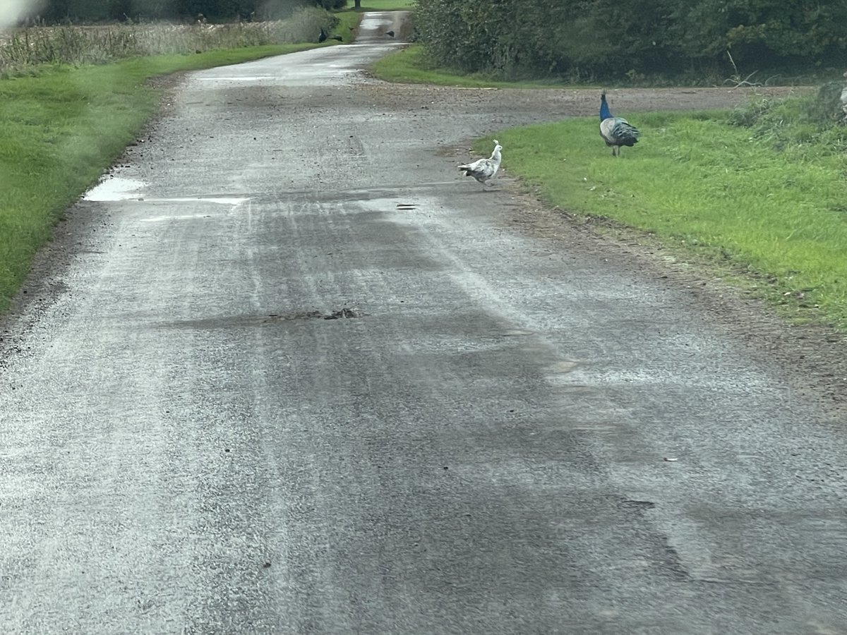 FacilityHpm's tweet photo. The Blankney Estates project is really taking shape. Internals are coming to a finish, electrics completed and tested. Decoration has started to the clients chosen scheme using Dulux delivering a quality finish! Some images of the grounds too with incredible views and wildlife. https://t.co/spCzPpNUZw