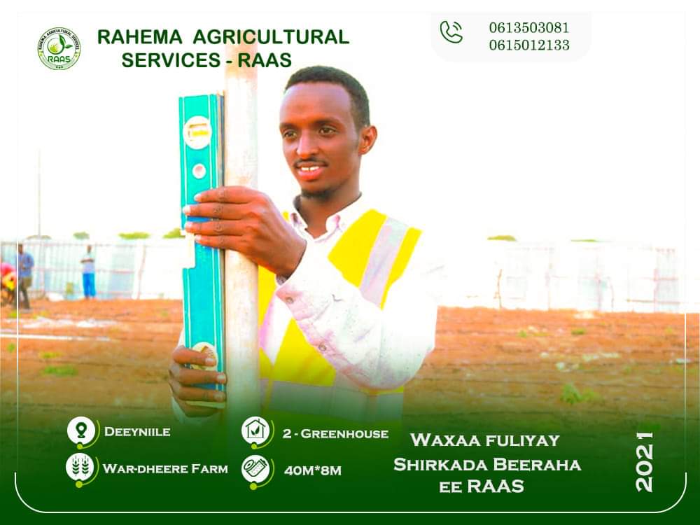 AbdirahmnSabrie's tweet photo. Waxaa meel fiican inoo maraya xiridda waraabka dhibic dhibic-da (Drip irrigation) 2-Hector ah iyo Sameeynta Guri beereed casri ah (Greenhouse) oo aan ka Hir-galineeyno Deegaan beereedka Af-gooye.

Waxaan ku beeri doonnaa dalag-yada waddanka ka bixi kara, se dibada ka yimada insh. https://t.co/hjVj8wYMED
