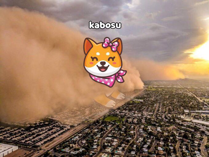 BerlinUsman's tweet photo. @davidgokhshtein You forgot @KabosuOfficial. 💪🏾💪🏾💪🏾🚀

#Kabosu
#Hiroshi https://t.co/9r1kKdFQZ3
