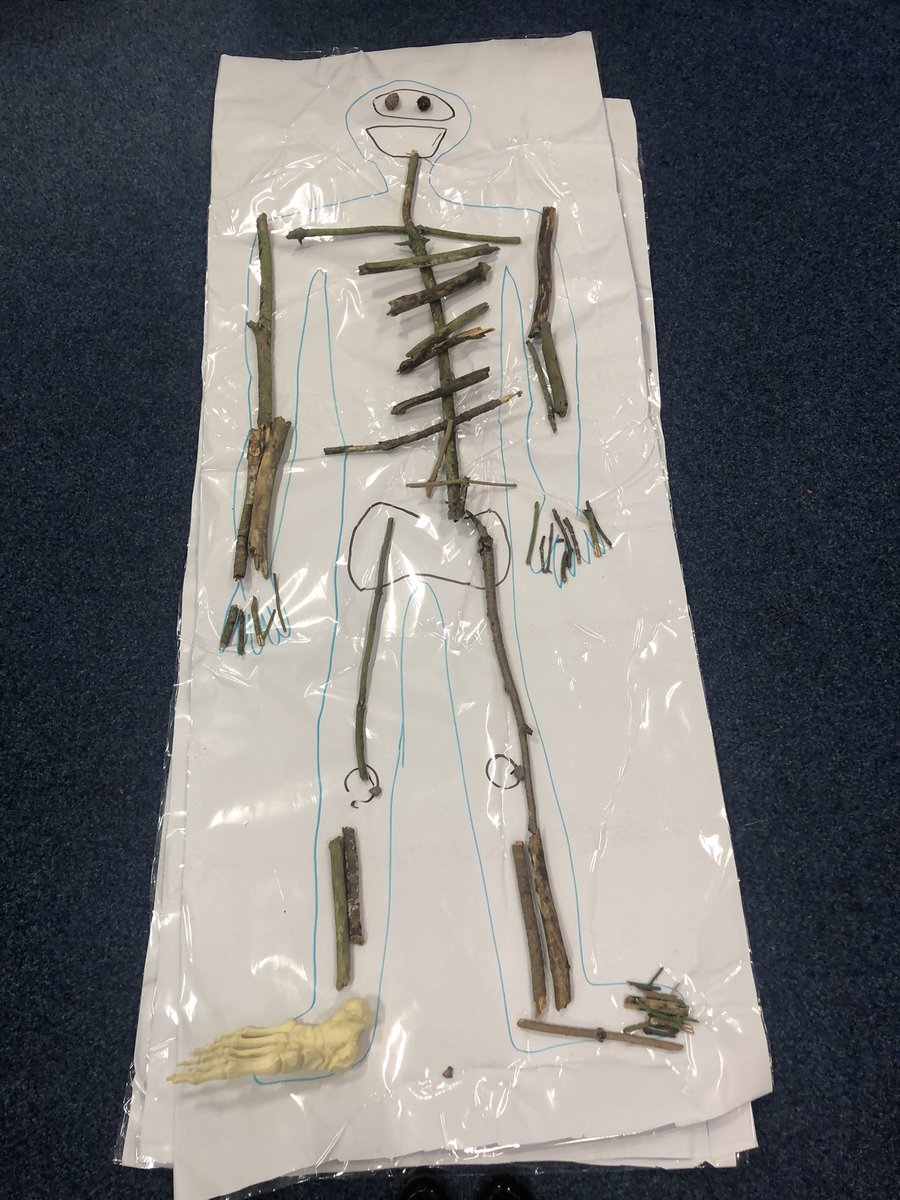 We created Jim our new class member today, he kept flopping over so we had to collect sticks from the woodland area to make his skeleton! #Science #humanbody #year3 #primary