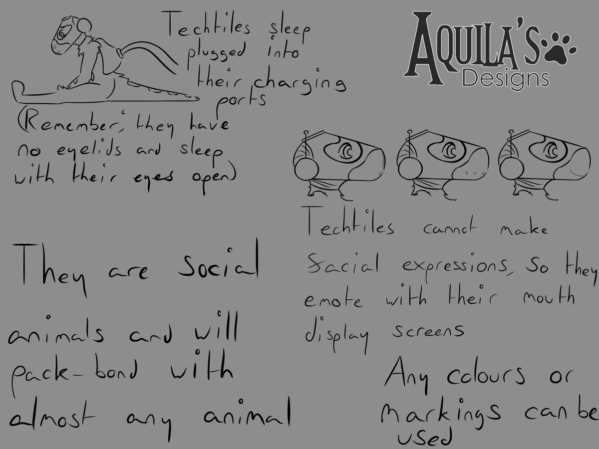 DesignsAquila's tweet photo. New c0m1ss10n sheet, as well as the official species guides for my #originalspecies, #baskirr and #techtile!
#furry #furryfandom #furryartist #furryart #sfw #sfwfurry #sfwfurryart #sfwfurryartist #furrycommissions #commissionsopen #digitalart #fursona
Free ref sheets below!! https://t.co/cSIn5GoPpL