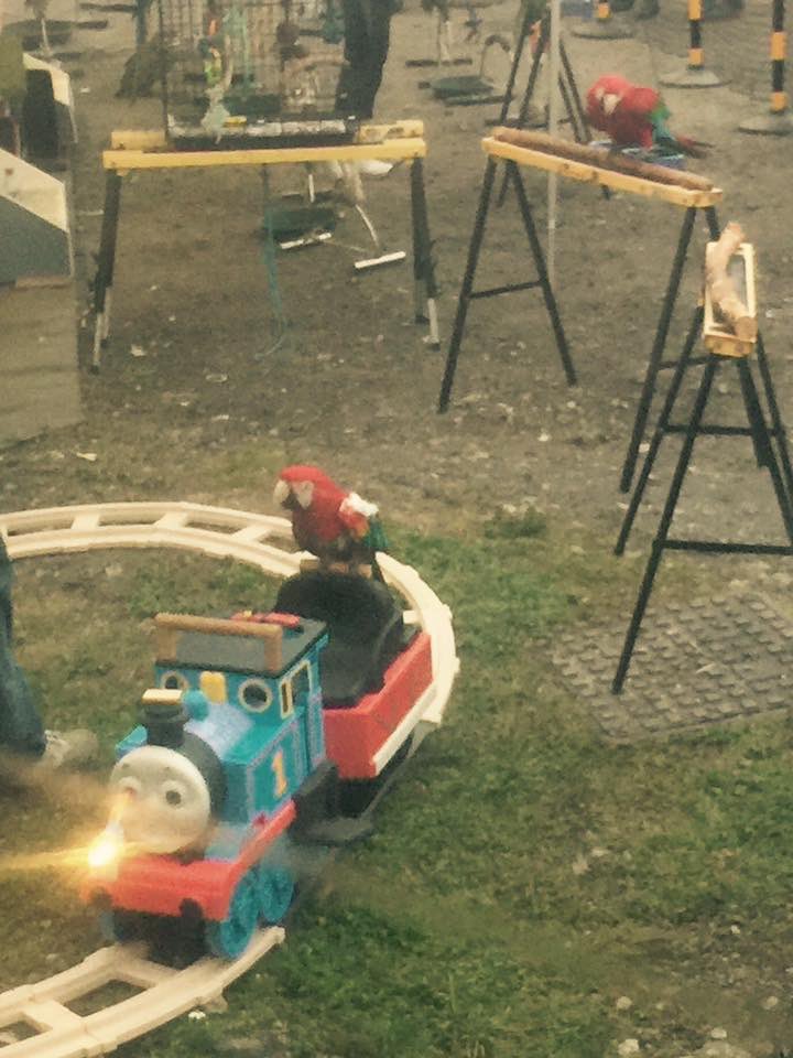 Really sad to hear <a href="/IndietracksFest/">Indietracks Festival</a> is over. I’ve only got a couple of photos from it on my phone but this one still makes me laugh &amp; sums it up, particularly as it was taken through the window of the booze train #IndietracksMemories