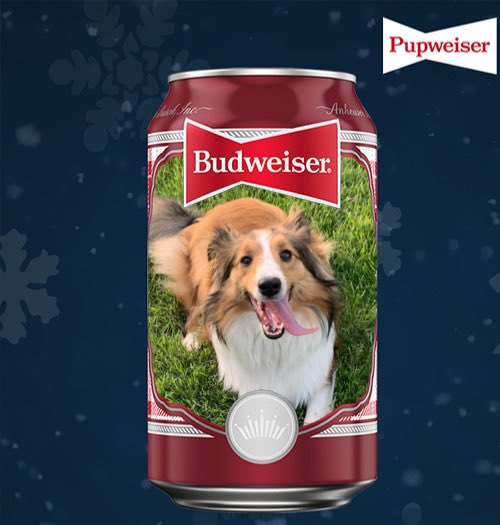 Ok I don’t usually do this, but Phoebe insisted she be entered in the contest. #Pupweisercontest <a href="/budweiserusa/">Budweiser</a>