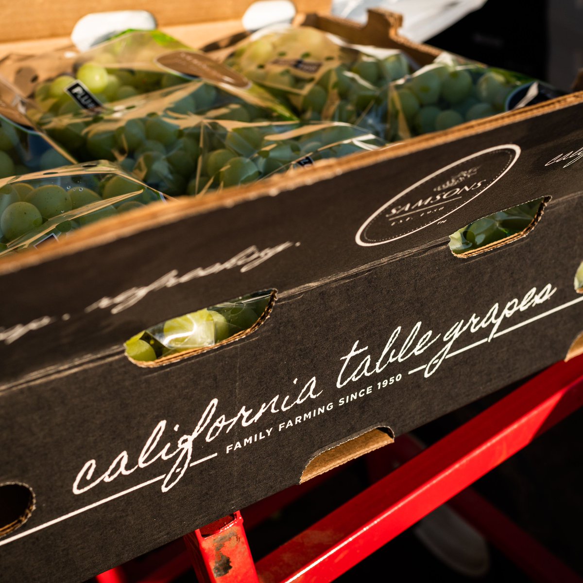 SamsonsGrapes's tweet photo. The Samsons promise of quality, efficiency and sustainability can be seen in every box of grapes 💚 https://t.co/GMesSVuDep