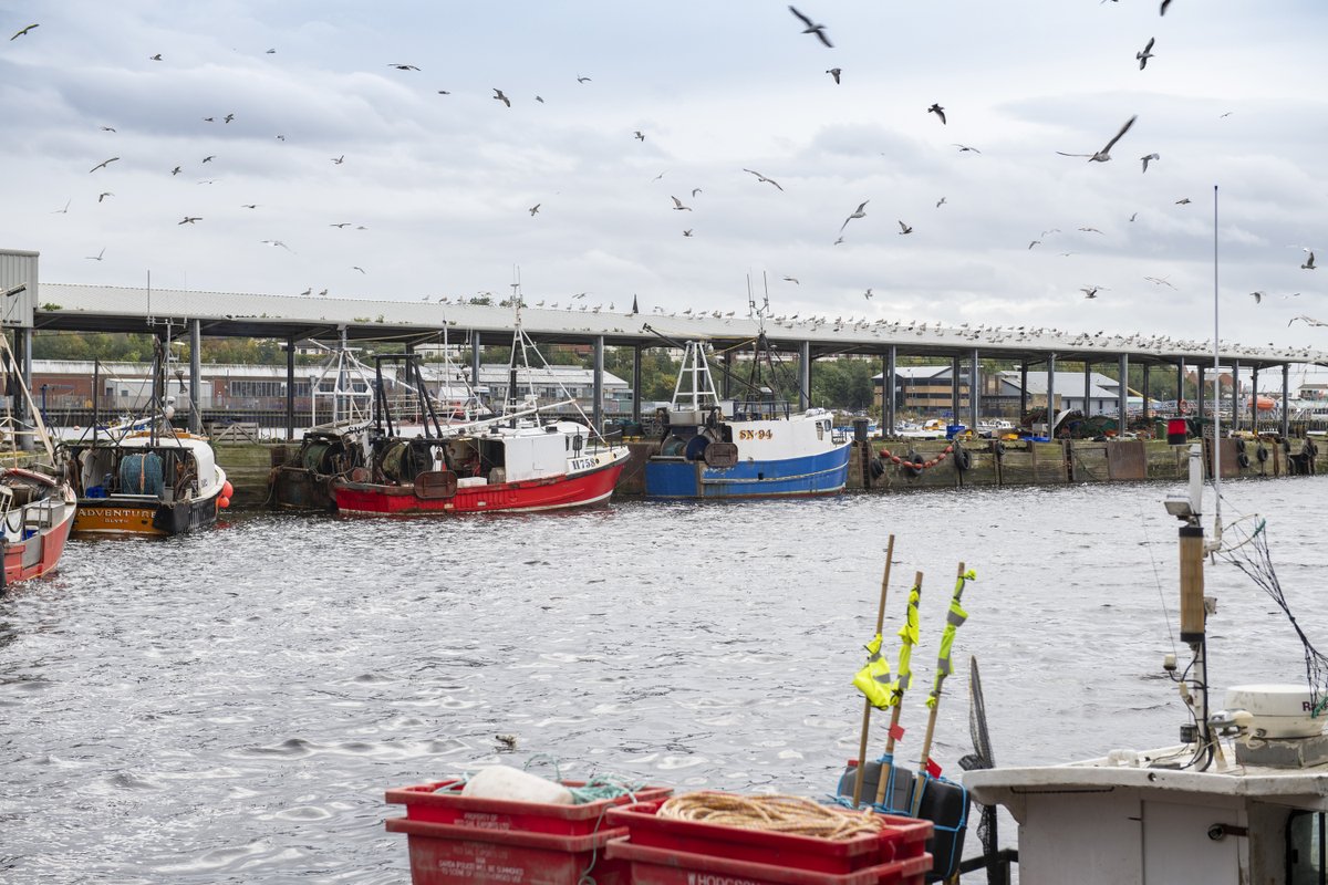 SmithsDock's tweet photo. Did you spot the Hairy Bikers visiting the North Shields Fish Quay on the BBC recently?
Clearly they know that all the best and fresh seafood comes through the Gut.
#smithsdock #rivertyne #northshields #northshieldsfishquay #northtynesidecoast #northtyneside https://t.co/WmDz1PCJ7g