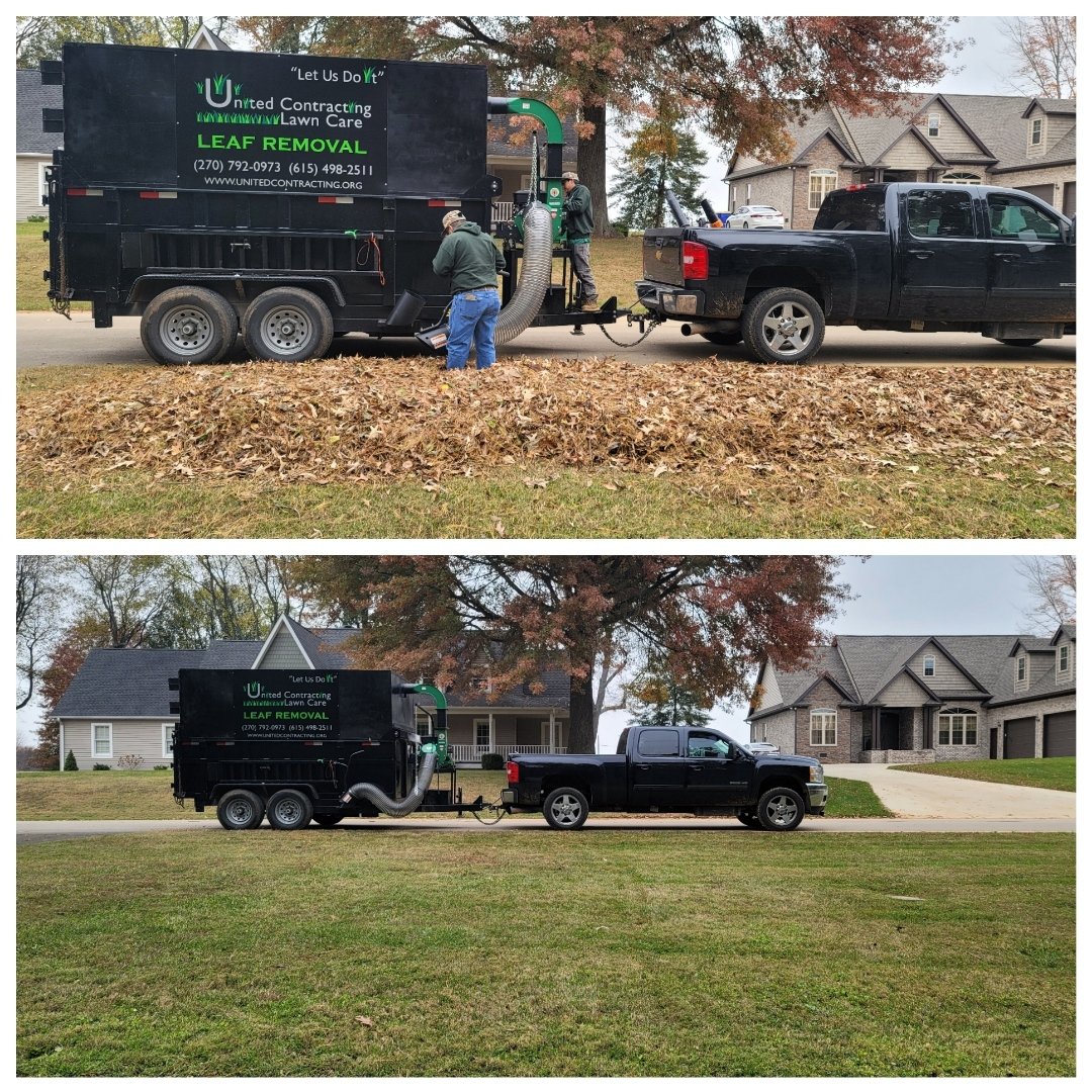 Leaf removal day 🍁🍁
"Let us do it"