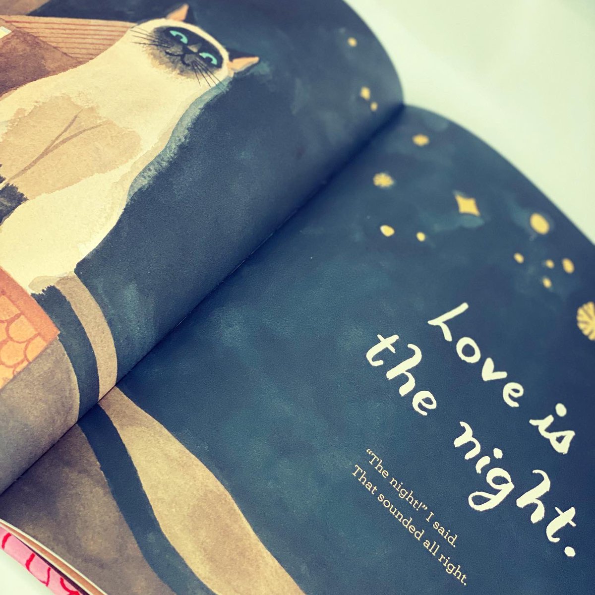 bookgiftblogger's tweet photo. Such a good question! #whatislove? by @macbarnett & #carsonellis is a gently unfurling tale of what love means to different people. A young boy sets out to find out what love is. Love might mean different things to different people & this book helps you find what it means to you. https://t.co/l7NWwbA9Q9
