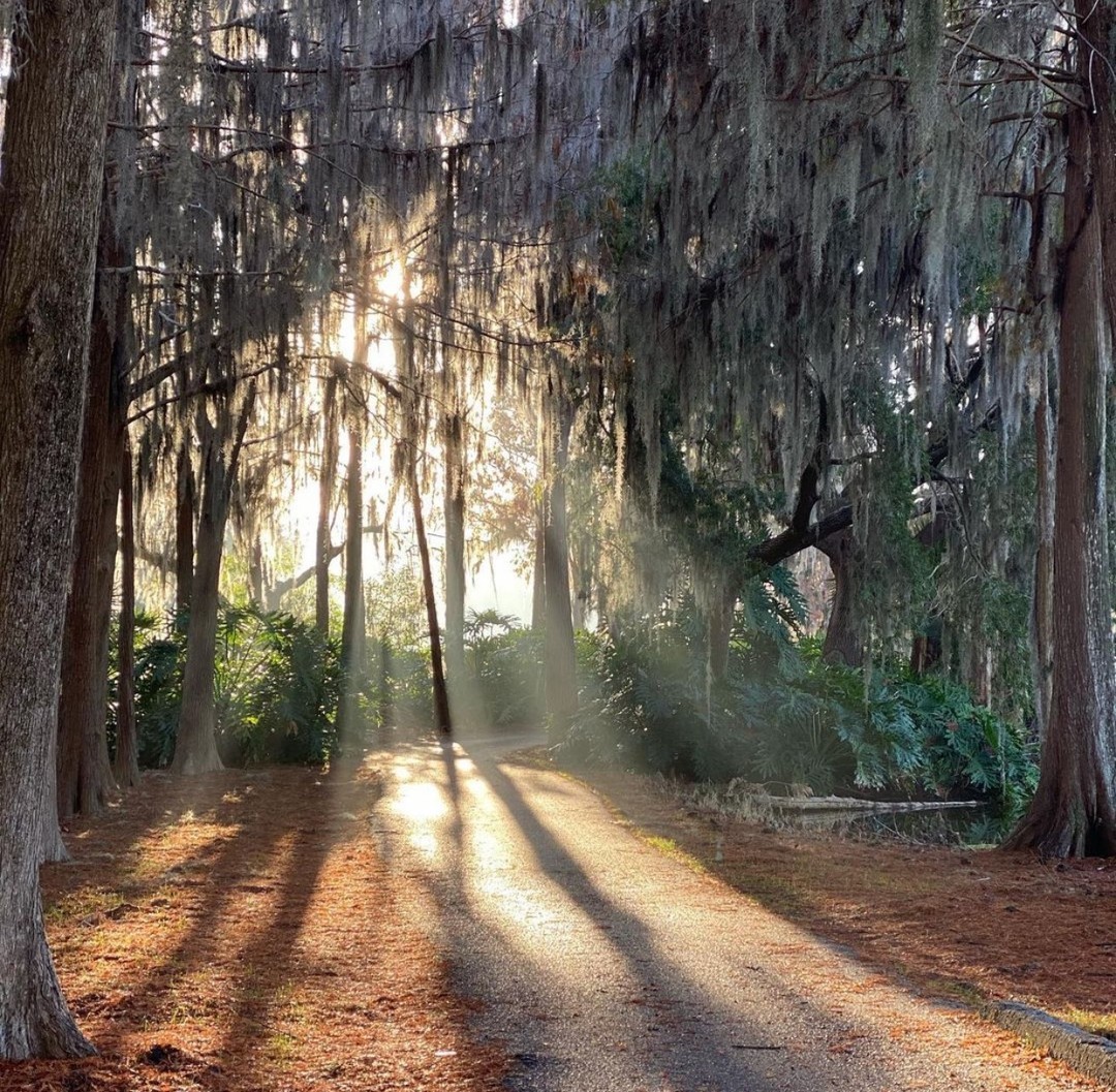 Innisbrook's tweet photo. Early morning tee times are when all the magic happens.
.
📸: @tbgwhitebuffalo
.
.
#innisbrooklife #sunrise #golf #teeofftuesday https://t.co/TIGg4aZiLX