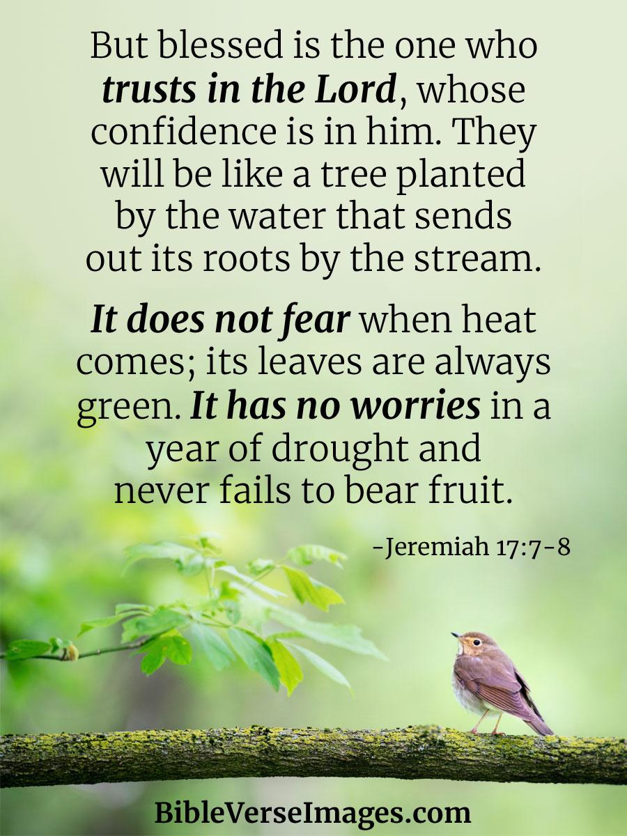 SumaPhilip3's tweet photo. Have a Blessed day 🙏 https://t.co/eUWtyBglRv